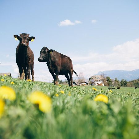 Alpin Farm Linde - Oberweidacherhof Collalbo Bagian luar foto