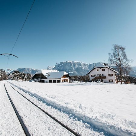 Alpin Farm Linde - Oberweidacherhof Collalbo Bagian luar foto