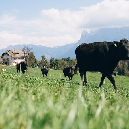Alpin Farm Linde - Oberweidacherhof Collalbo Bagian luar foto