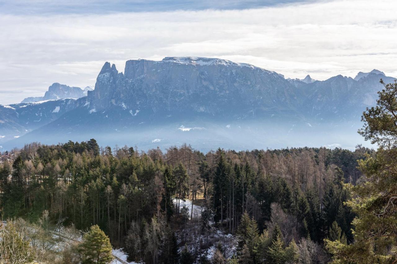Alpin Farm Linde - Oberweidacherhof Collalbo Bagian luar foto